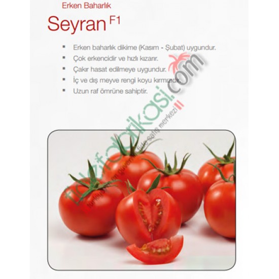 Seyran F1 Domates Fidesi