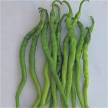 Standart Acı Kıl Biber Fidesi