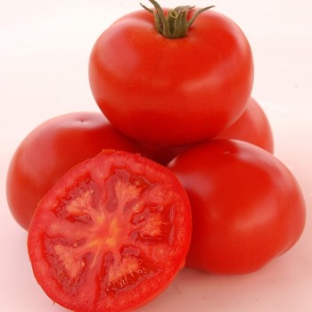 Troy F1 Oturak Domates Fidesi