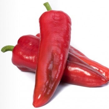 Aydemir F1 Kapya Biber Fidesi