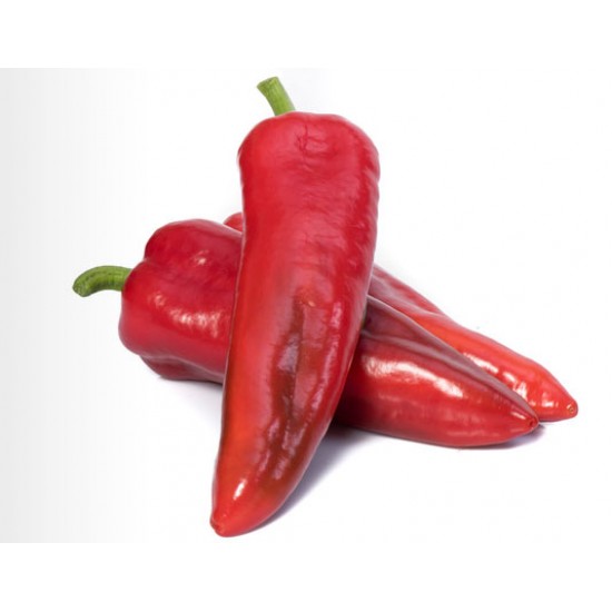 Aydemir F1 Kapya Biber Fidesi