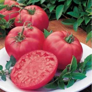 Pembola F1 Domates Fidesi - Pembe Lezzetin Bahçendeki Yeni Adresi!